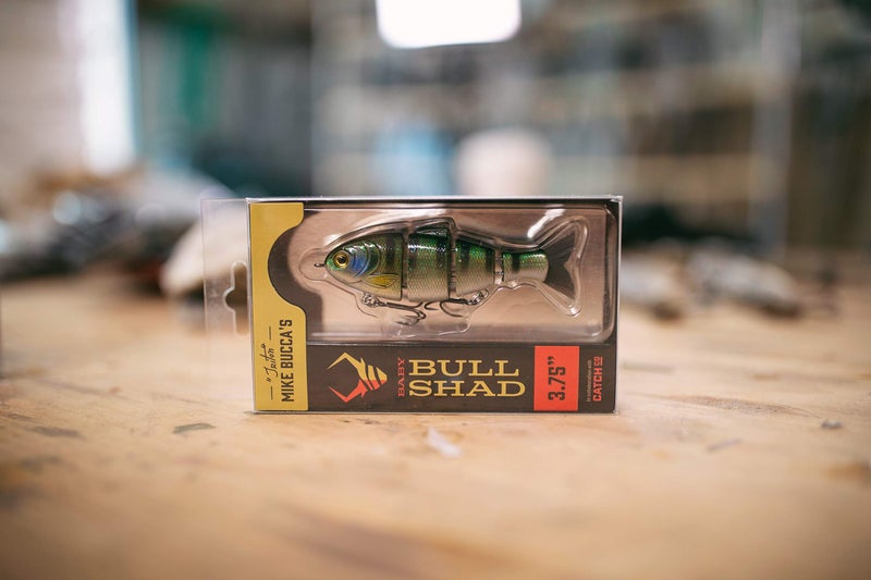 Catch Co Mike Bucca's Baby Bull Shad Swimbait 3.75" 1/2 oz Golden Shiner - Image 4